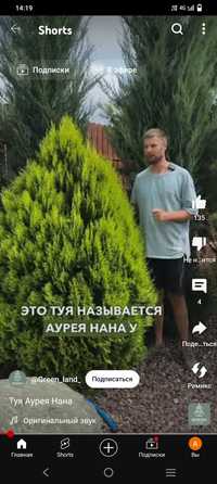 Продам Саженцы 5000