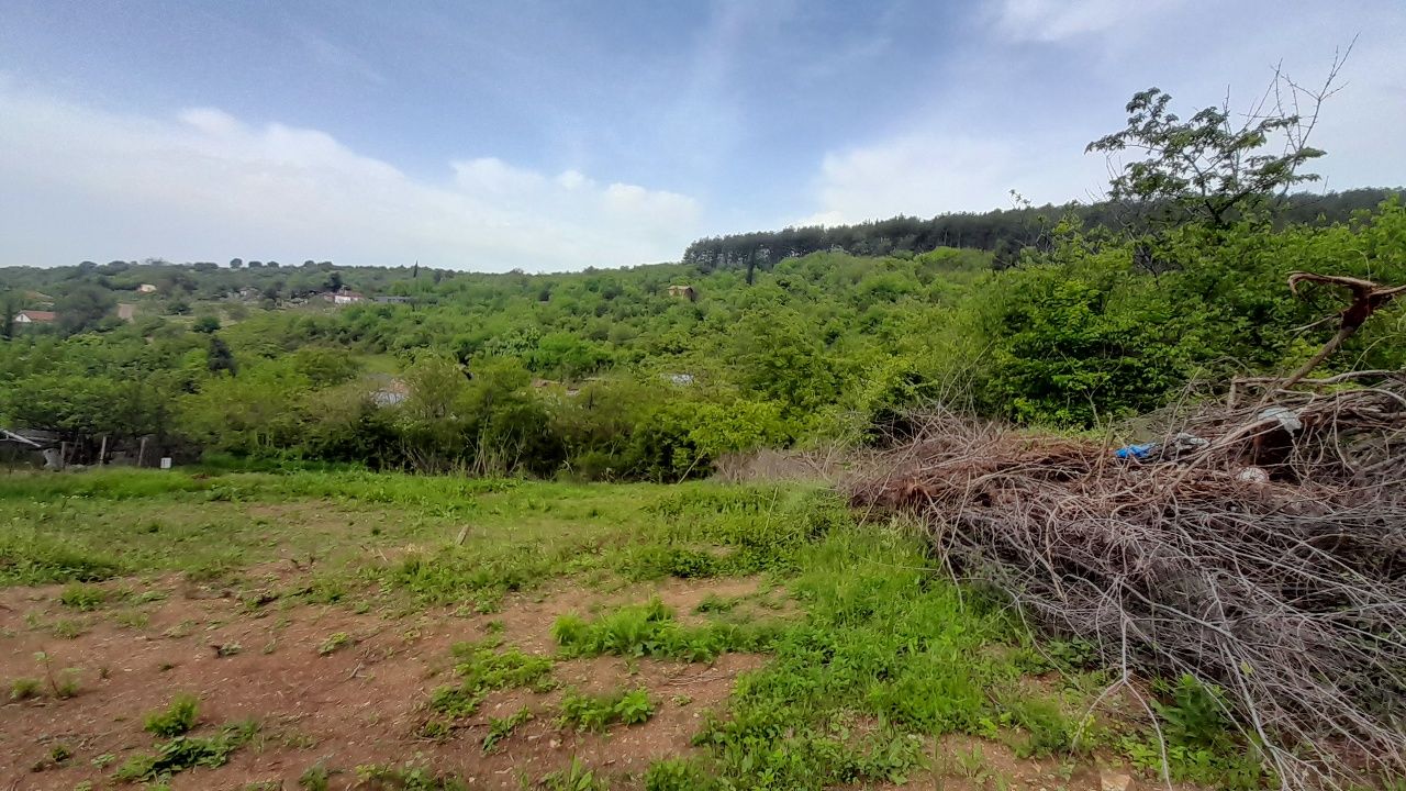 Панорамен парцел