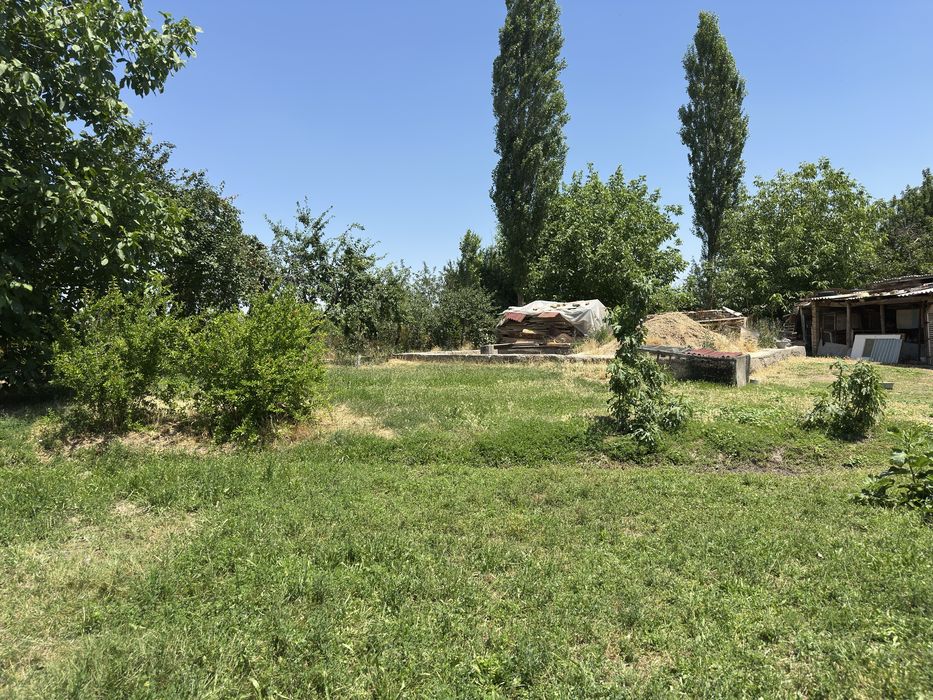 Hovli sotiladi 11 sotix