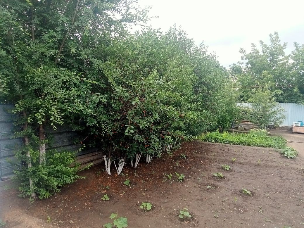 Продам Дом Акжар 1 БУРОВИК