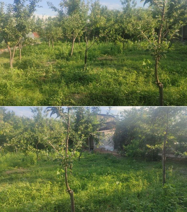 Quruq yer chek sotiladi