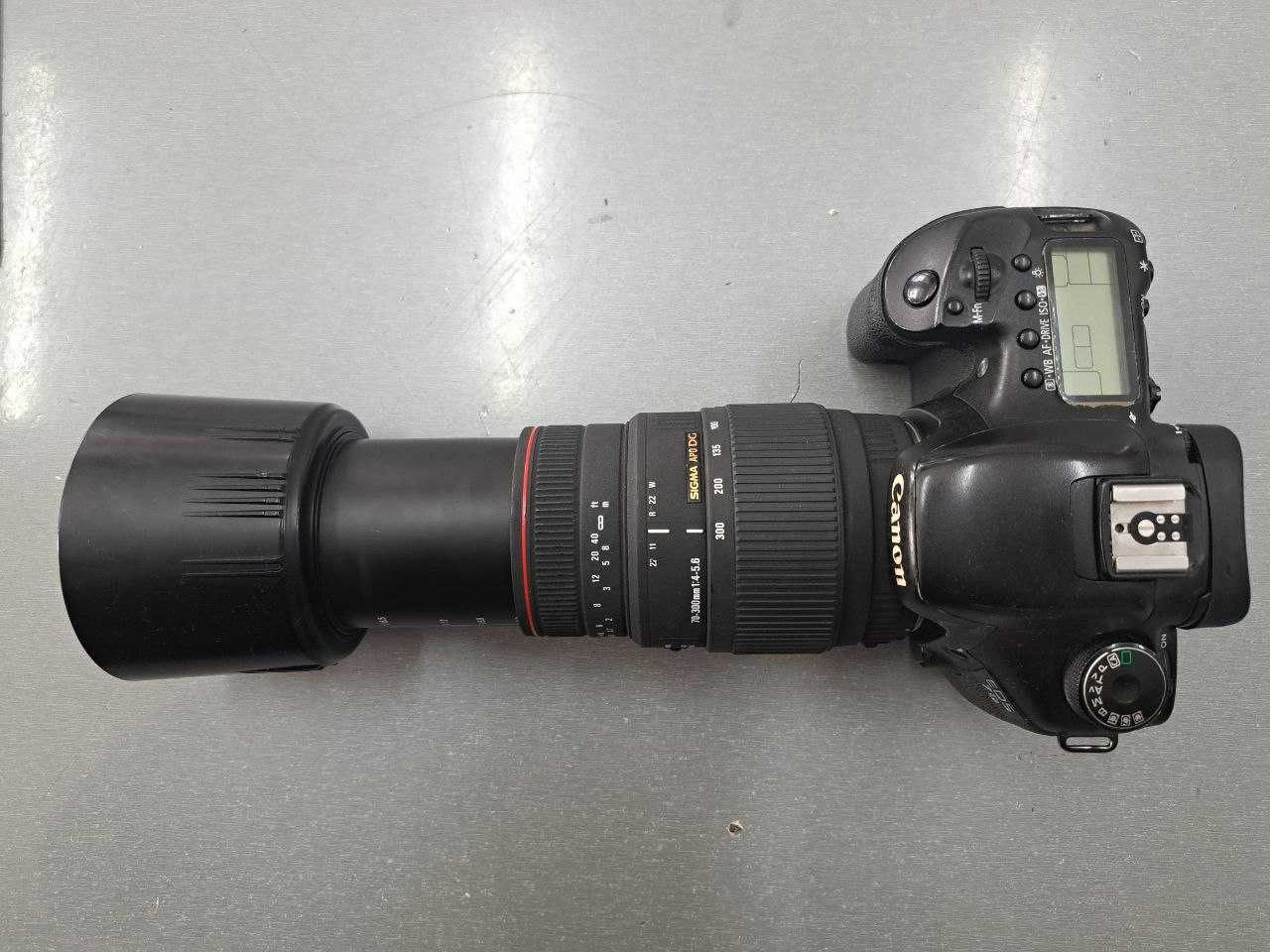 Canon EOS 7D  Sigma 70-300mm