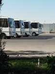 Автобус заказ  буюртма автобус