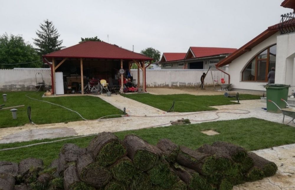 Gazon rulou 24 de lei m2 transport și montaj inclus în preț.