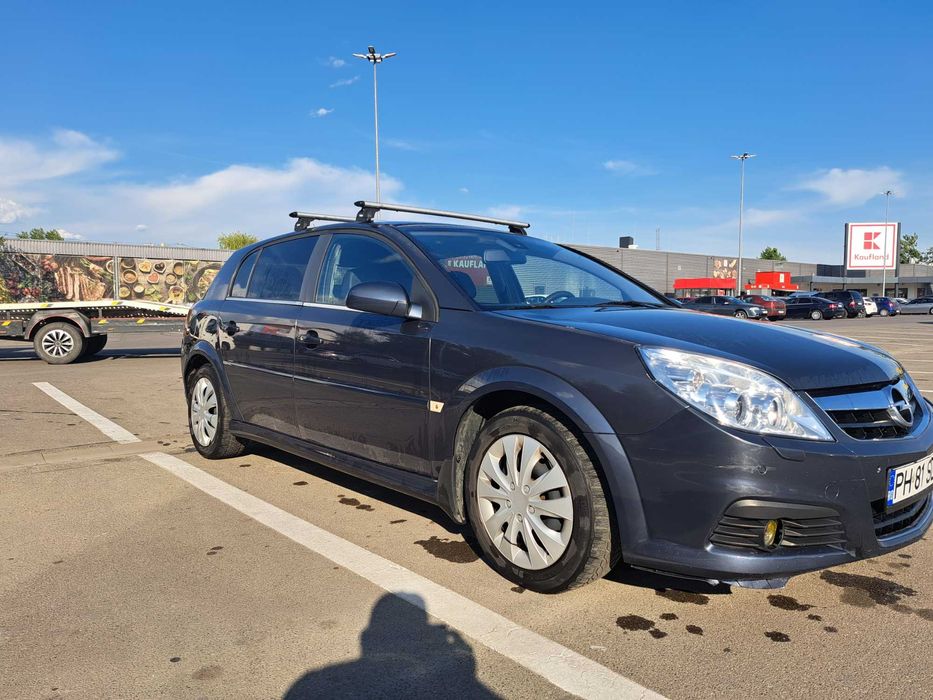 Opel Signum de familie