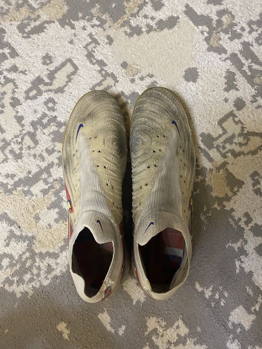 Сороконожки состояние идеал