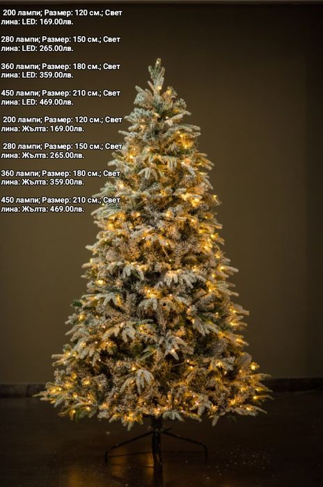 Коледни елхи на ниски цени