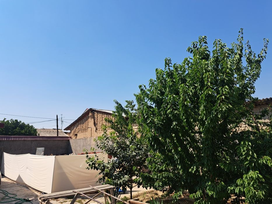 Yer sotiladi 1.5 sotk