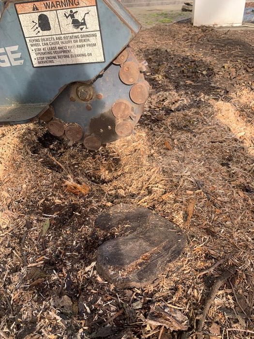 Tund iarba, cosit, curatam defrisam terenuri Timisoara Dumbravita Giar