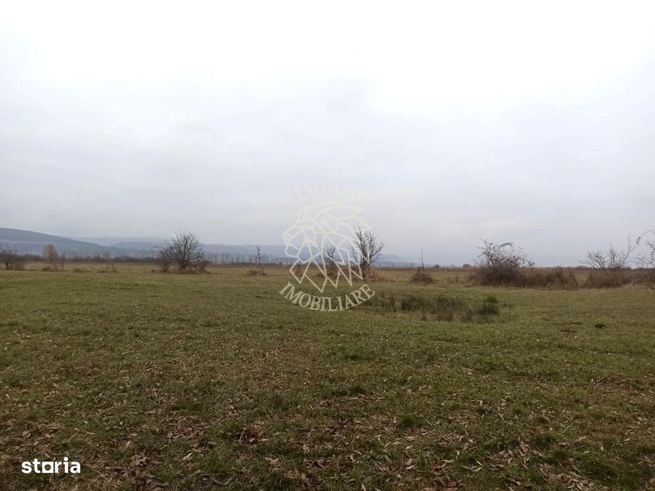 Teren 19611 mp (1,96 Ha)-ideal agricultura, investitie-Zona Aerodrom