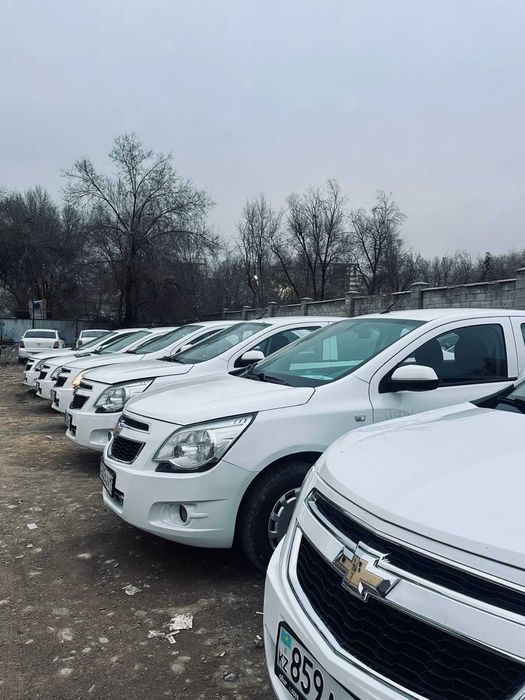 Автомобили в аренду для работы и личных дел