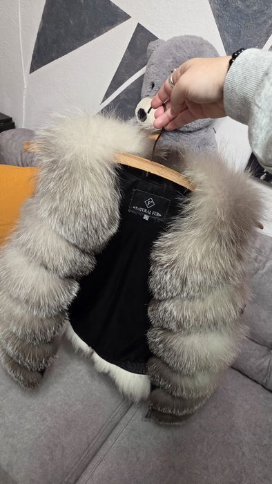 Vesta vulpe argintie