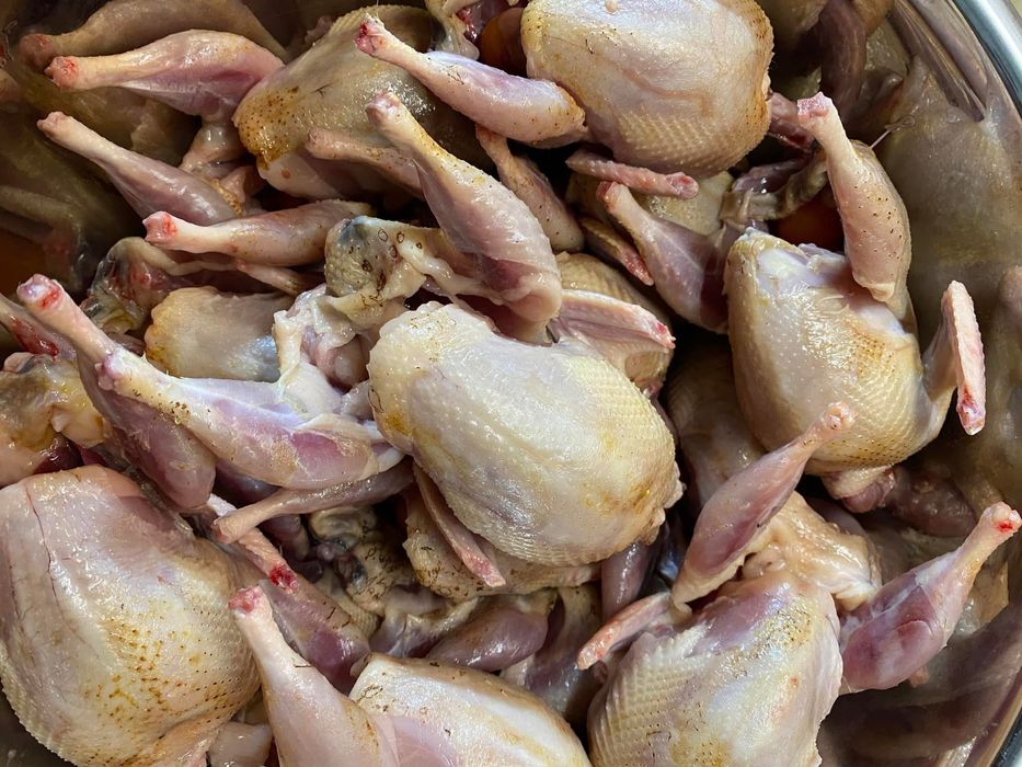 Prepelite carne carcasa oua pui prepelita