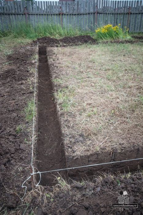 Săpături manuale Etc.