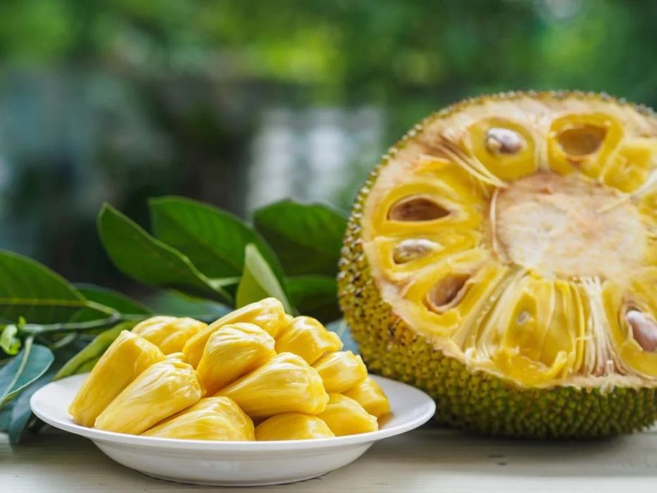 Vand Pomisori exotici Jackfruit