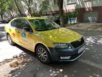Skoda Octavia 2017 Automata