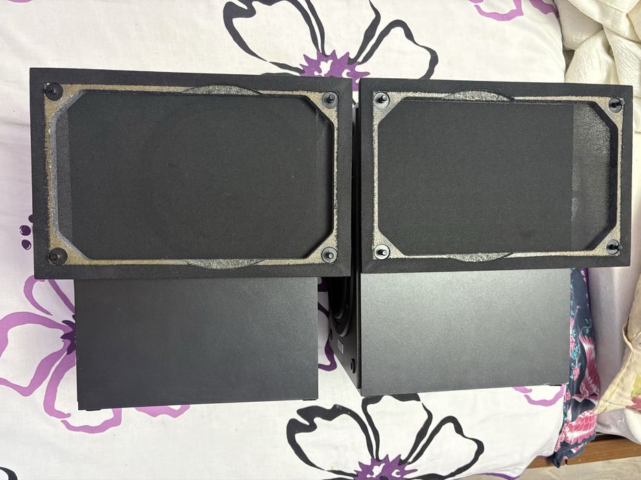 Boxe dinaudio audiance 5