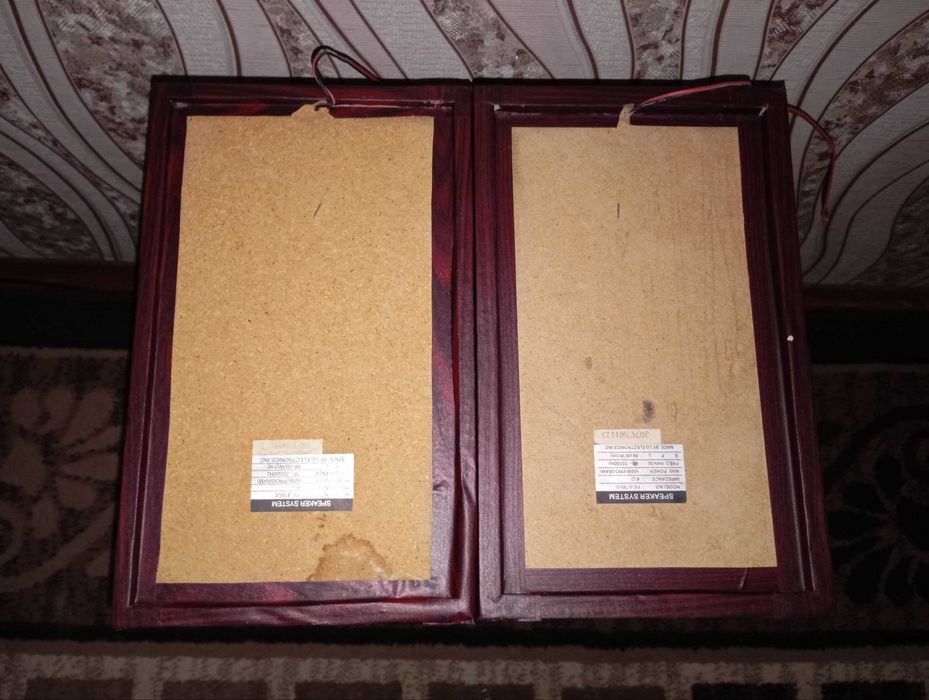 калонки   от музыкального  центра ЛЖ 1400  ват