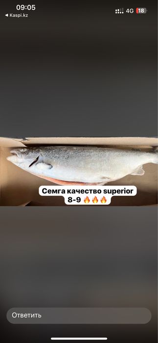 Акция!!! Семга норвежская 169 завод нали