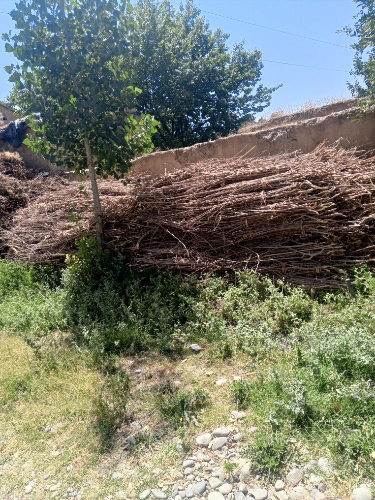 Pilla oʻtin bor shaxcha  sotiladi