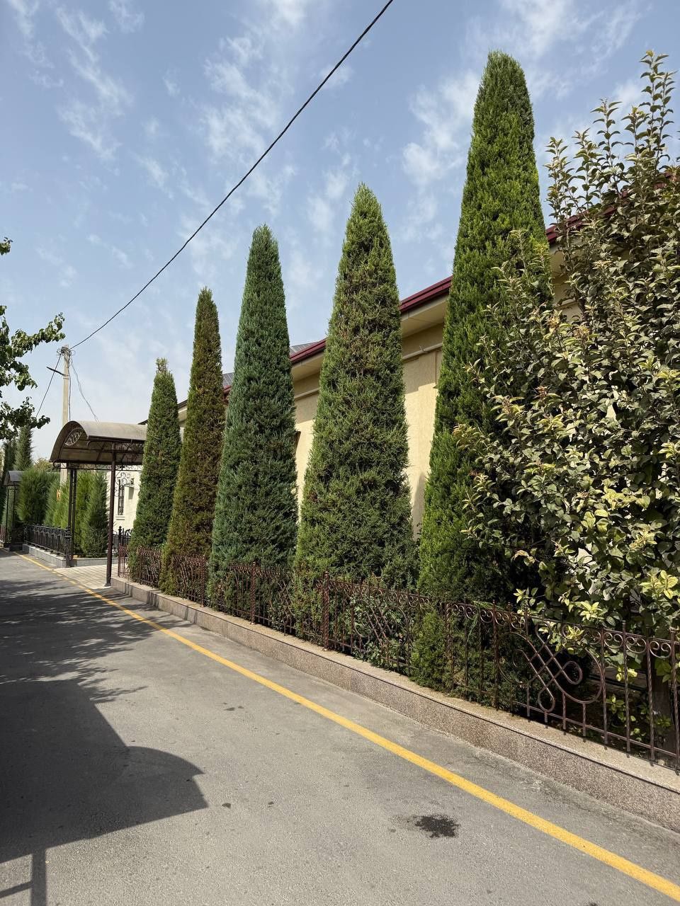 Landshaft xizmatlari archa kesish