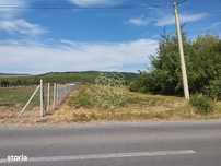 Teren intravilan 1350 mp cu uitlitati-pretabil casa, investitie-Jelna