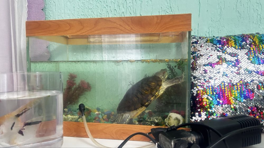 Продам аквариум для рыбок