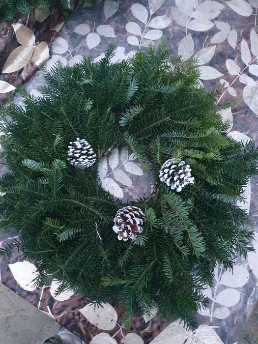 Coronite de brad en-gros pretul incepand de la 8 lei pana la 30