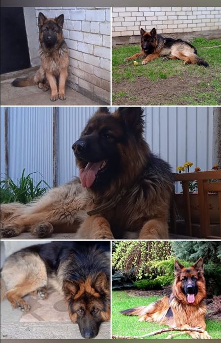 Молодой красивый кабель