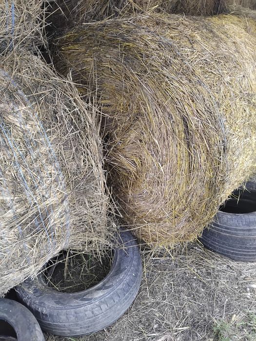 Vând baloți rotunzi