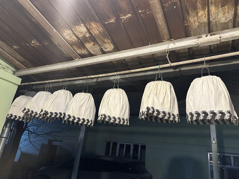 Продаются перепела (бедана)