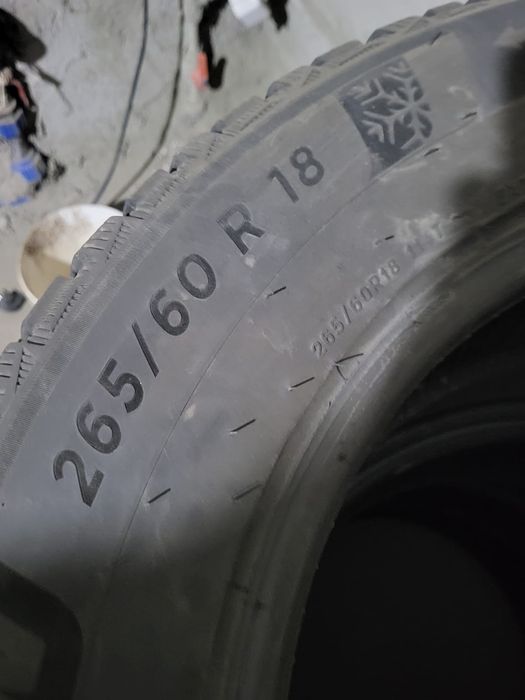 Резина зима Мишлен