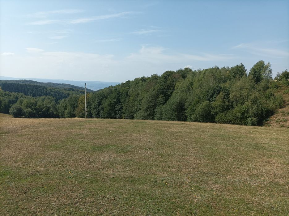 Vând 7500 mp teren in Șinteu