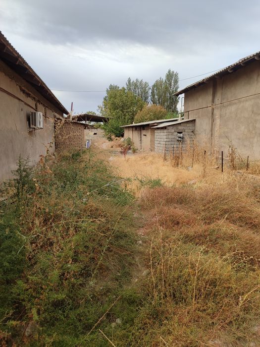 6 sotik joy sotiladi 1 sotigi 5500$dan