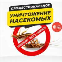 Обработка от клопов, тараканов | Уничтожение насекомых | Дезинсекция