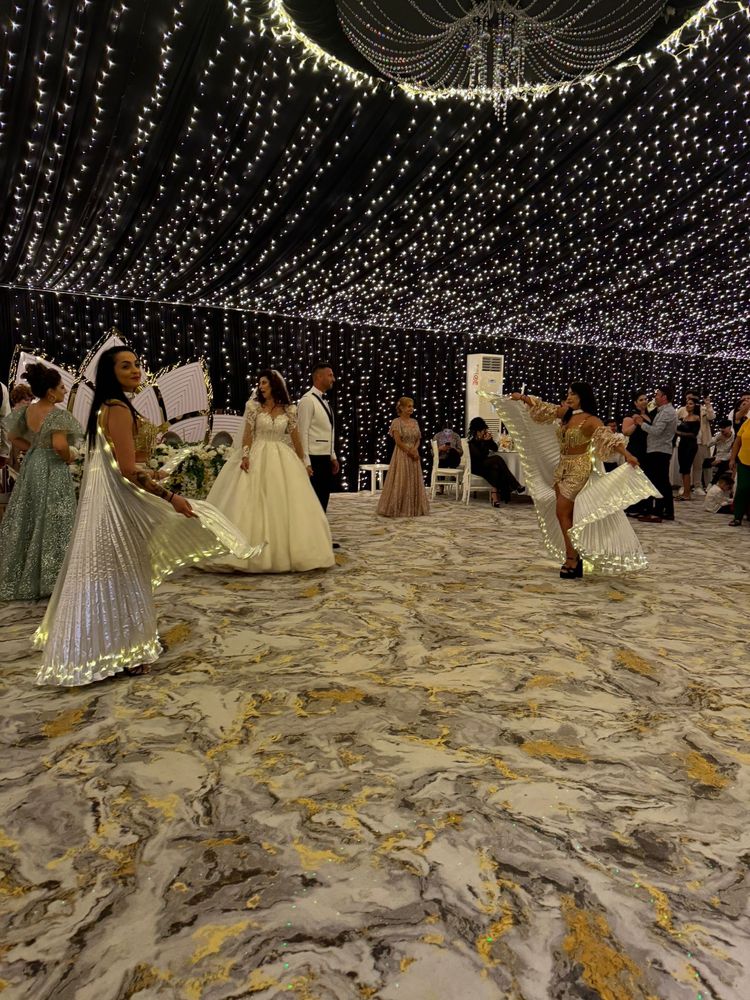 Dansatoare oriental (BELLY DANCE)