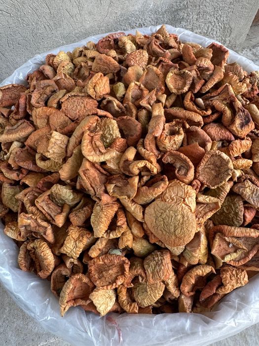 Яблоко сушенное olma quritilgan apple dried qoqi