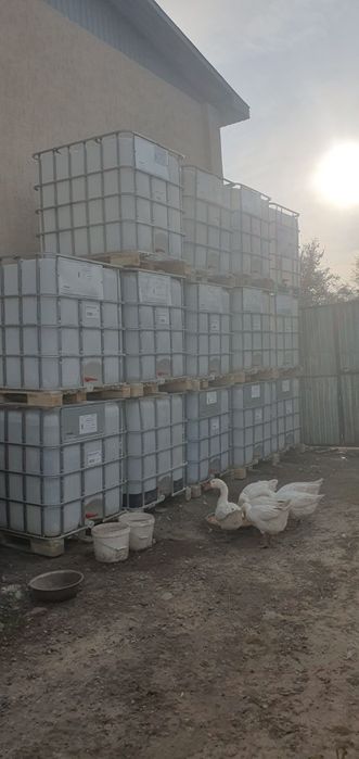 Продам Кубовые бочки