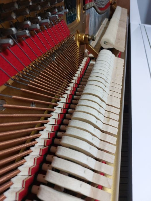 Pianina Kemble ( brand Yamaha)