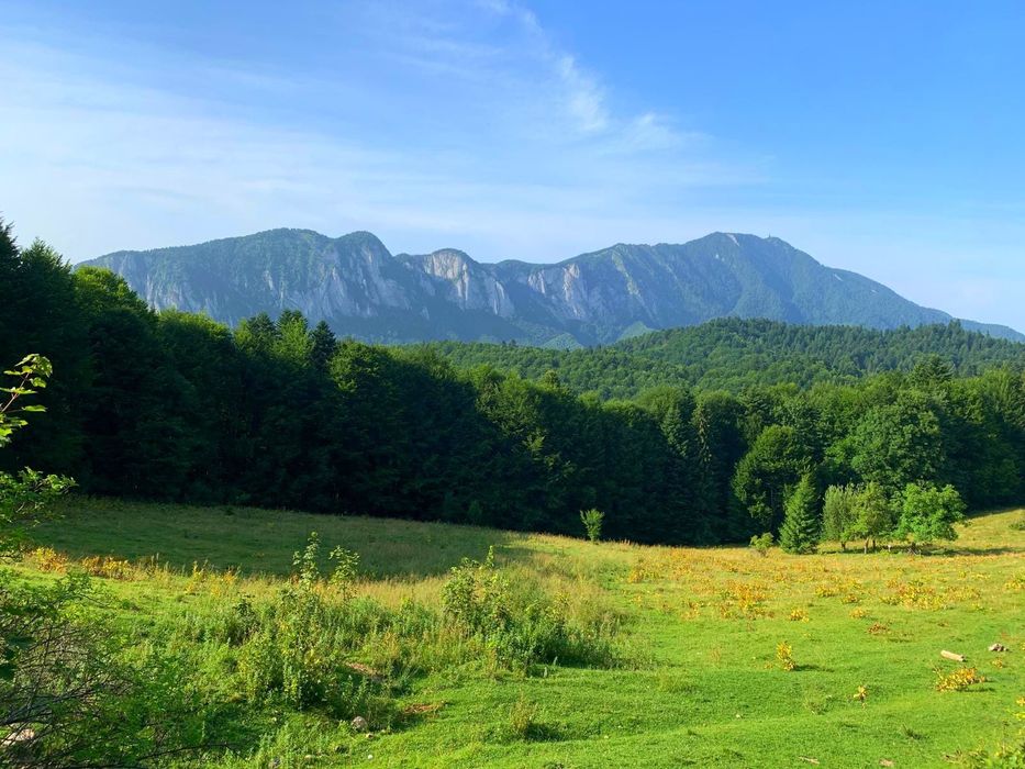 Vând teren Trei Brazi Predeal