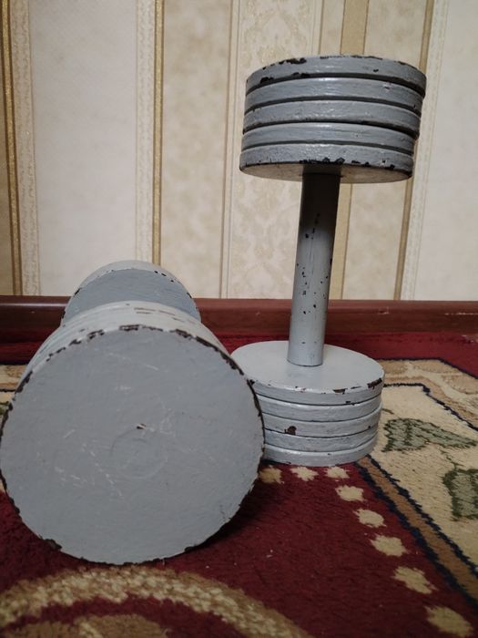 Гантели разборные, каждая по 10 кг