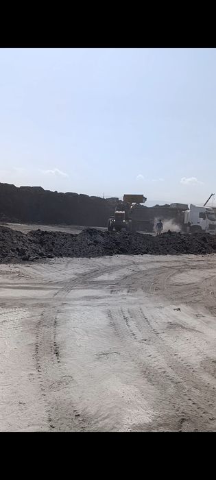 Зола унос . Зала унос . Белый. Серый