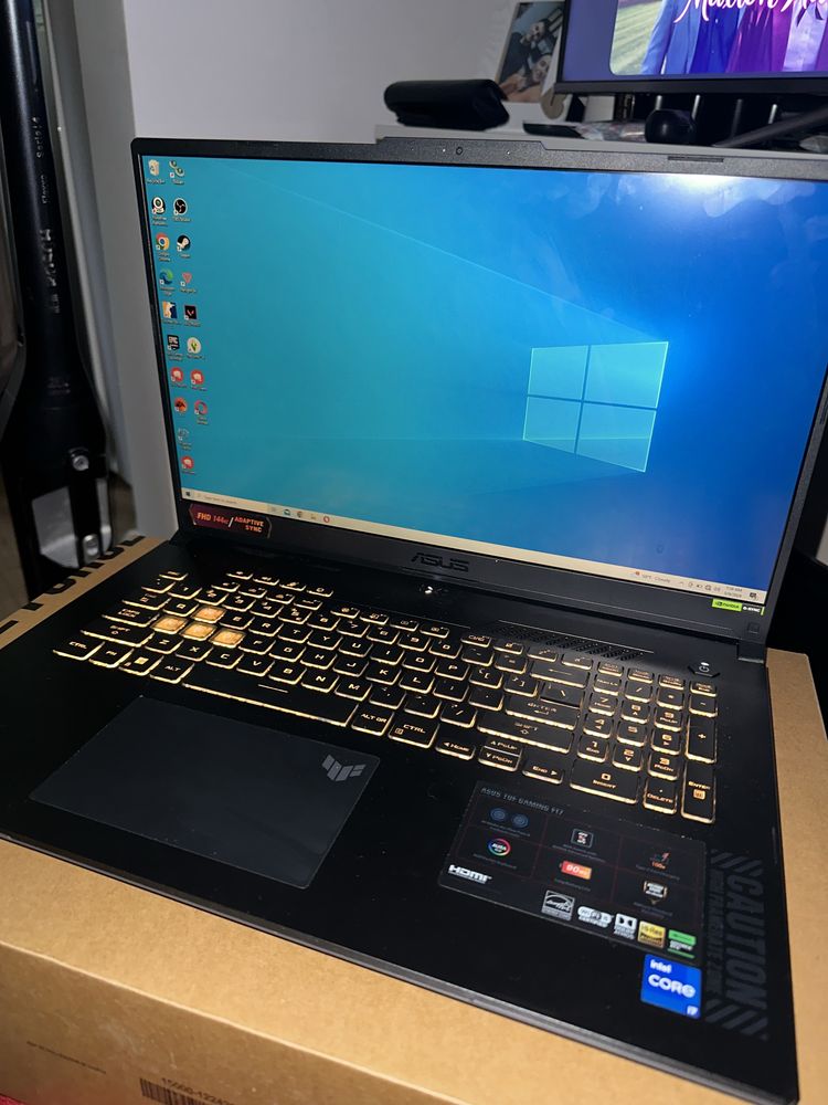 Laptop Asus Gaming 17.3 TUF F17 FX707VI