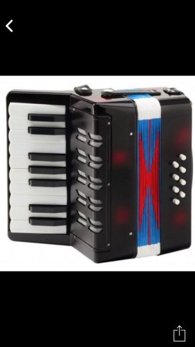 Acordeon pentru copii