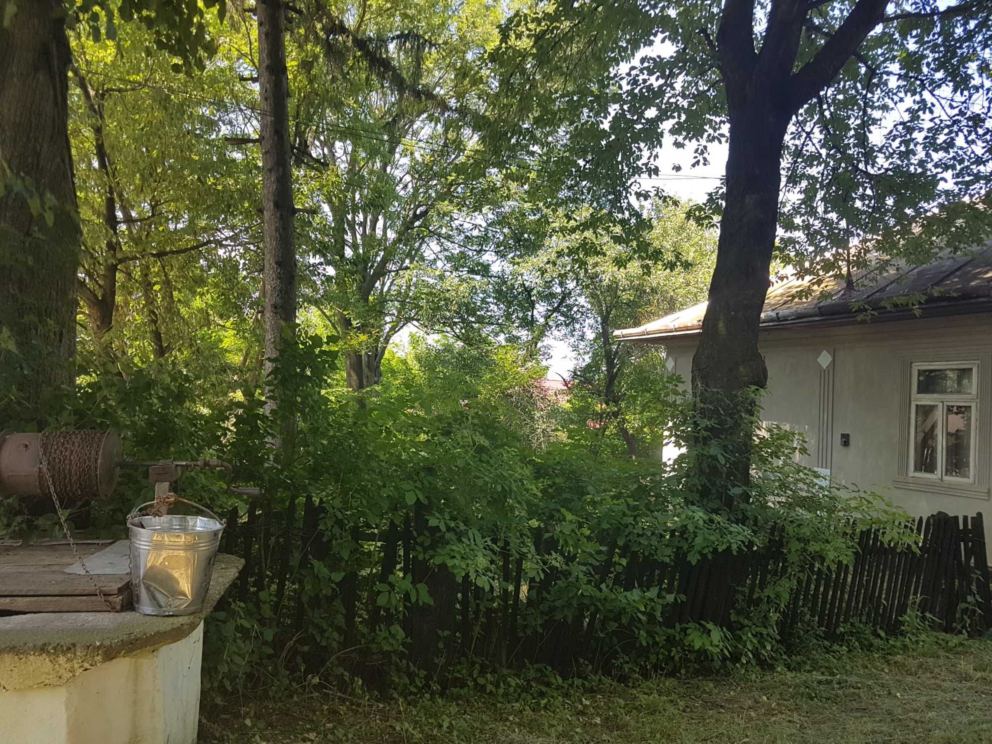 Ofertă ! Vand casă 3 camere , teren si pădure , 37000 euro !