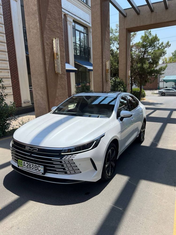 BYD chazor 120 tali