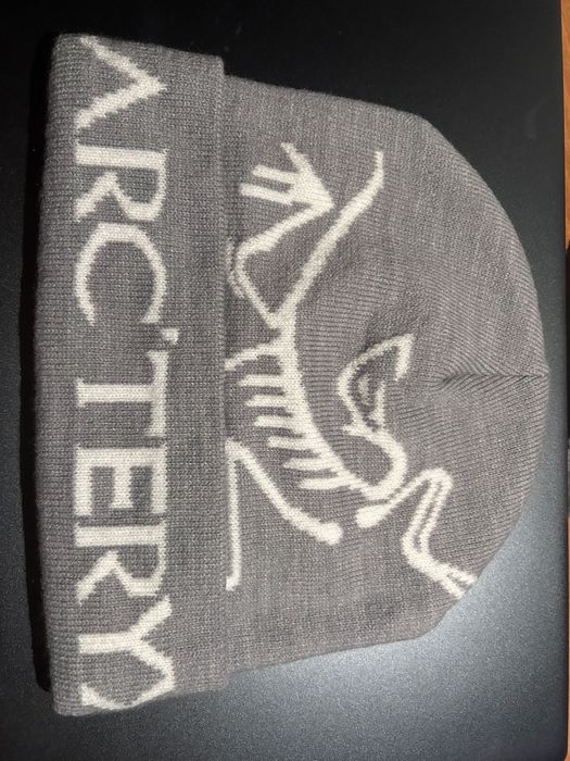 Зимные шапки ARC TERYX