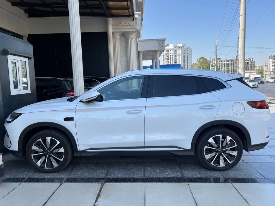 BYD Champion Smart 2025