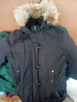 Canada Goose яке