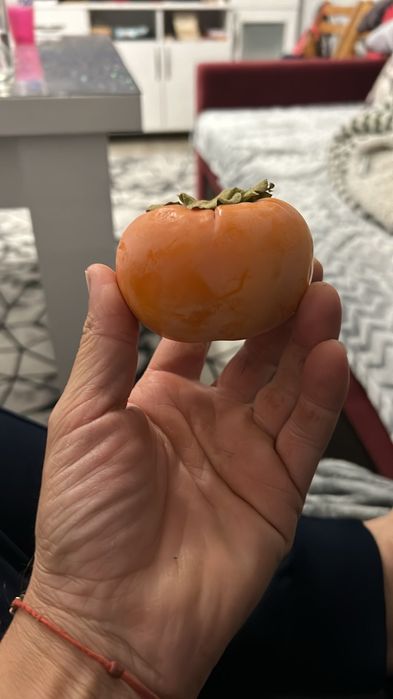 Дръвчета Райска ябълка за лкиенте на едро и дребно